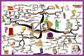 An Interpretation of Shakespeare's Comic Tools