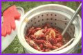 Cajun Fest moves to Iowa State Fairgrounds’ venue