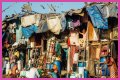Crowded Cities and Rise in Diseases