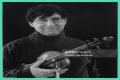 David Shapiro (musician)