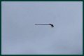 Disturbing video shows floating broom in the middle of the air and the internet is losing its collective mind