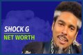 Shock G Net Worth At The Time Of His Death May Surprise You