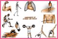 Single part of a gym exercise