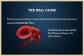 What Really Caused the Black Death: Anthrax or Celestial Bodies?